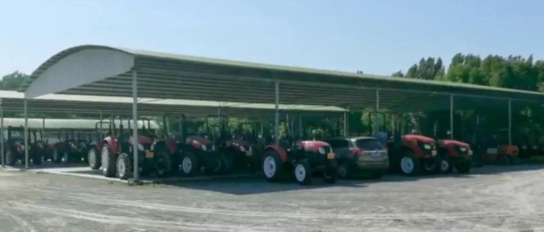 高口碑怎么練成?大浪淘沙后的花生機市場