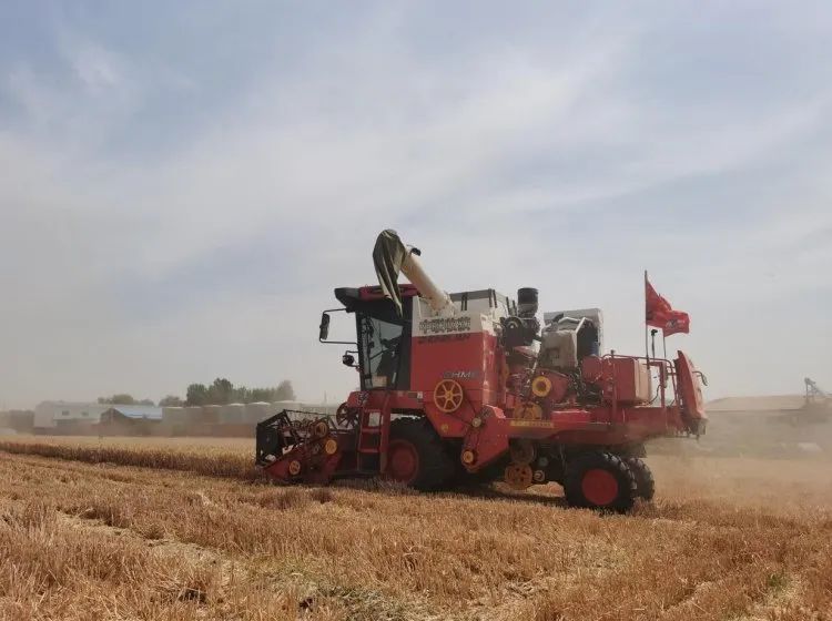 聯合收割機的新周期,新疆-2卷土重來 329-9.jpg