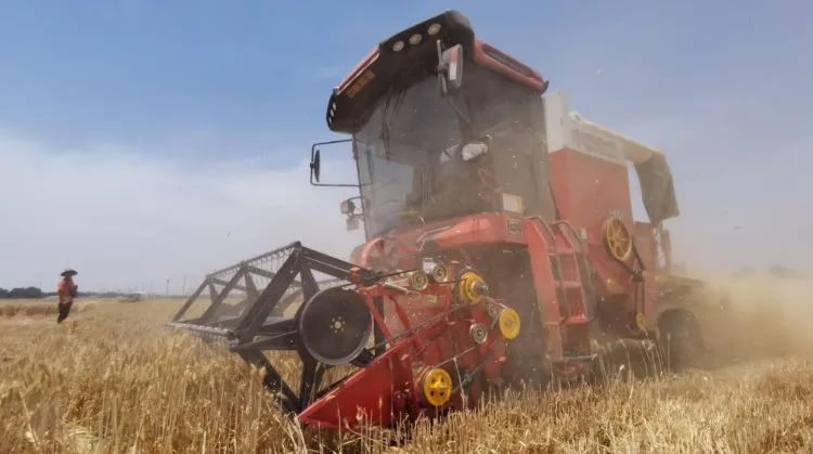 聯合收割機的新周期,新疆-2卷土重來 329-7.jpg