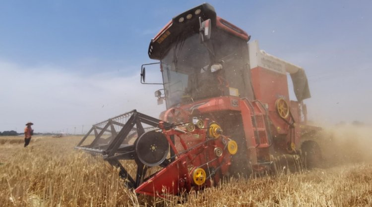 來自90后經銷商的認可:從小接觸新疆—2小麥機,對中聯收獲完全認可 來自90后經銷商的認可:從小接觸新疆—2小麥機,對中聯收獲完全認可(圖3)