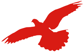 唐山豐南劉賀海:年收入翻兩番 中聯收獲花生機帶來意外之喜 唐山豐南劉賀海:年收入翻兩番 中聯收獲花生機帶來意外之喜 (圖2)