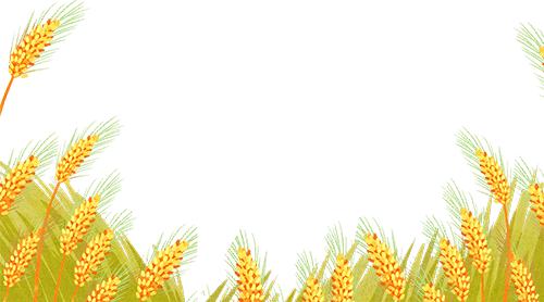 唐山豐南劉賀海:年收入翻兩番 中聯收獲花生機帶來意外之喜 唐山豐南劉賀海:年收入翻兩番 中聯收獲花生機帶來意外之喜 (圖3)